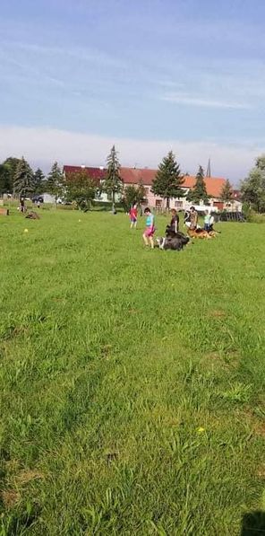 Vlkoš3